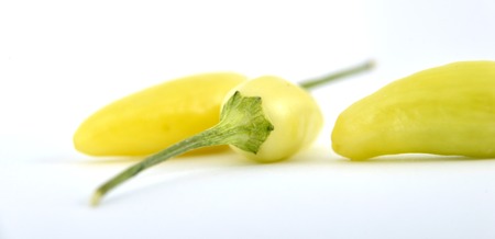 Set of yellow hot chili peppers isolated on white background,shallow dof,imageの写真素材