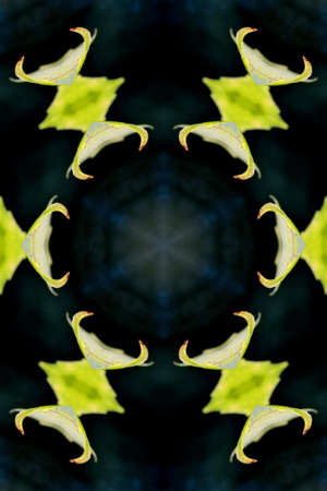 image of digitally generated picture, seamless backgroundの写真素材