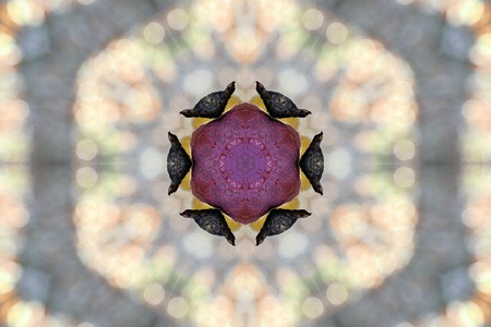 digitally generated picture, seamless backgroundの写真素材