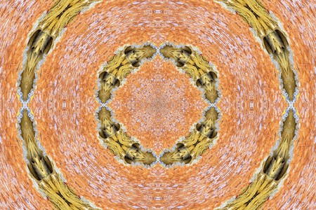 digitally generated picture, seamless background