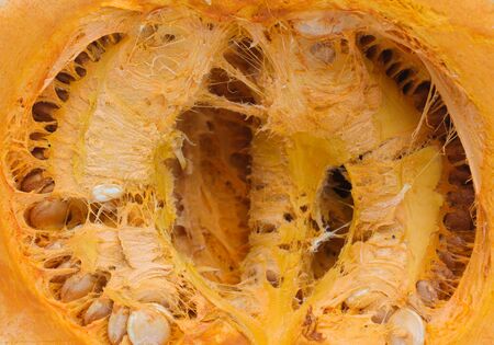 image of a half ripe pumpkin,inner sectionの写真素材