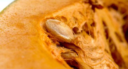 macro of a ripe pumpkin with seedsの写真素材