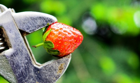Strawberry. Fresh berry fruit, spring food concept