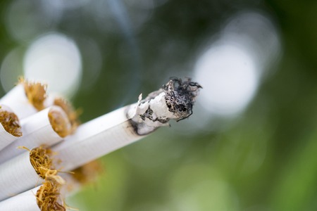 burning cigarette pictured outdoor,の写真素材