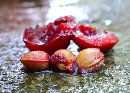red ripe raw cherry and pits,image of aの写真素材