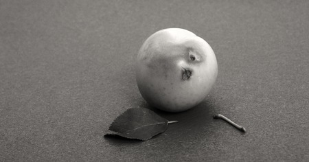 pure organic plum fruit, image of aの写真素材
