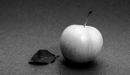 pure organic plum fruit, image of aの写真素材