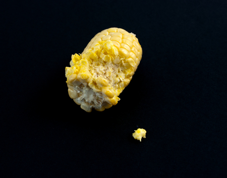 fresh corn on cob on black background,image of aの写真素材