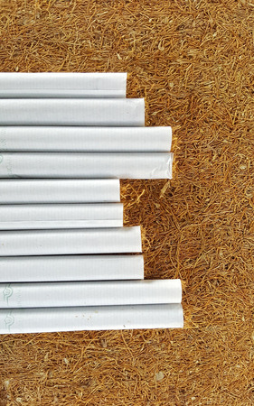 cigarettes on a dry tobacco backgroundの写真素材