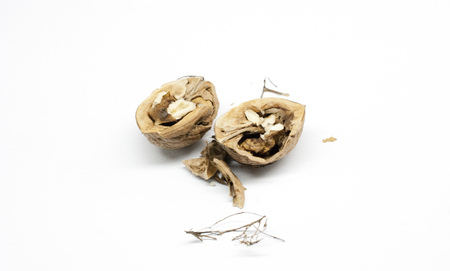 organic walnut on a white background,close upの写真素材