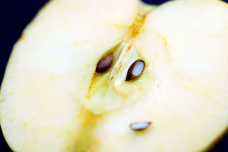 seeds of an ripe apple, macro