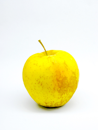 homegrown organic apple on a white backgroundの写真素材