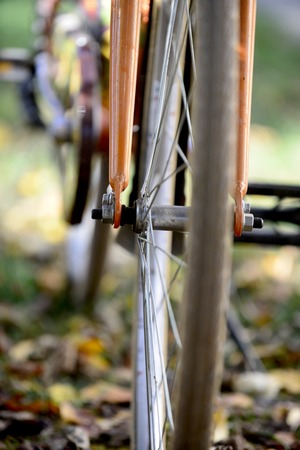 bike wheels, pneumatics on an autumn leaves