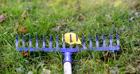 garden tool leaf rake with single leafの写真素材