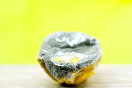 rotten lemon, citrus fruit image of aの写真素材