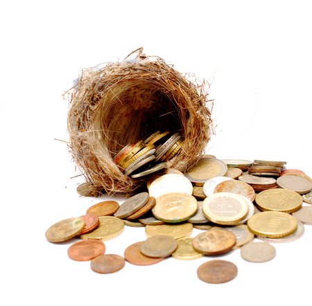 bird nest and old and new coins on white backgroundの写真素材