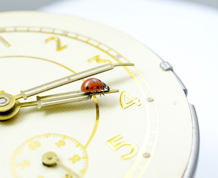Ladybug on an old clock surface.