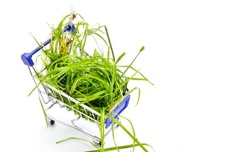 Fresh picked green grass in i small shopping cart solated on white background imageの写真素材