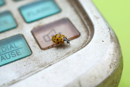 ladybug on an old dirty and dusty calculator image