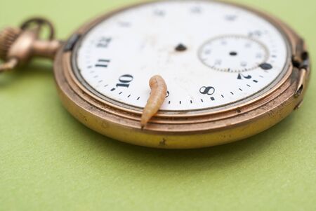 worm larvae on a vintage pocket clock image