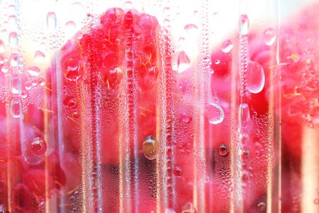 dew drops on a plastic container with raspberries