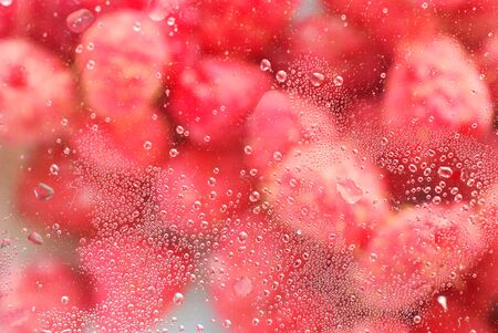 dew drops on a plastic container with raspberries