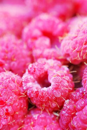 Raspberry fruit close up imageの写真素材
