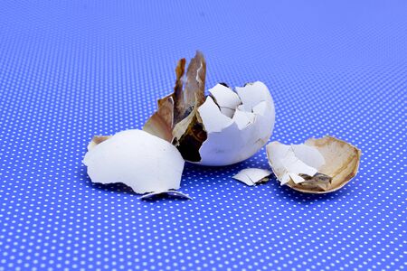crushed rottem egg image
