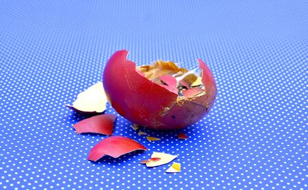 crushed rottem egg image