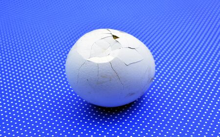 crushed rottem egg imageの写真素材