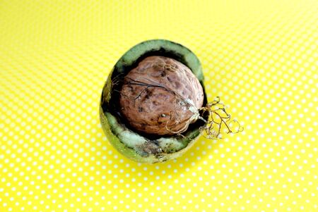 image of raw organic nuts, studio shot on yellow imageの写真素材