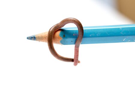 image on eartworm on a blue pencil
