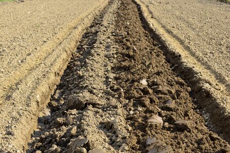 fresh plowed furrow on a field imageの写真素材