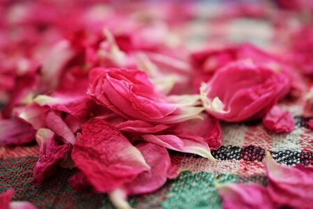 image drying rose petals for tea on a colorful table clothの写真素材