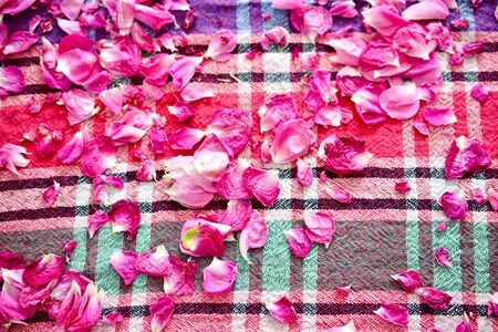 image drying rose petals for tea on a colorful table clothの写真素材