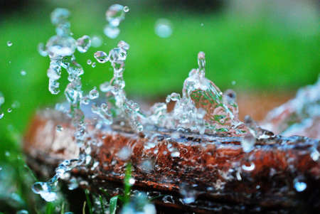 Green grass with waterdrops image