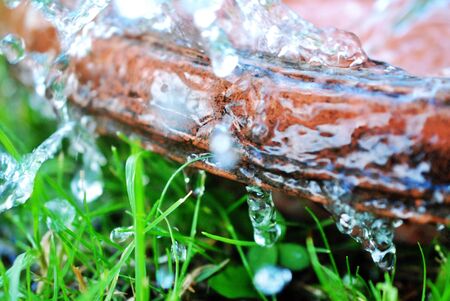 Green grass with waterdrops image of a