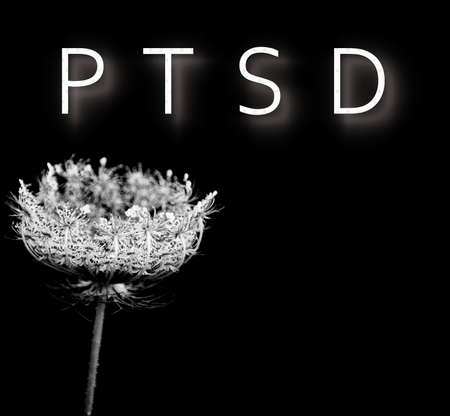 text ptsd on a black and white picture of a wild herb, conceptの写真素材