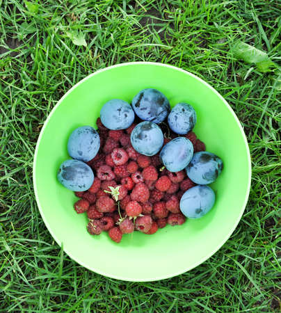 Fresh organic fruits - raspberry and plum in a green dish.の写真素材