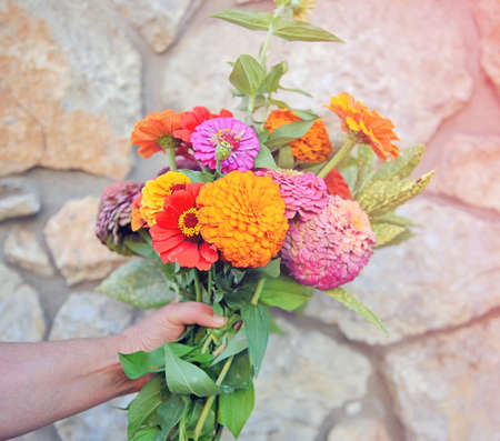 Hand holding set of gerberas against the stone wallの写真素材