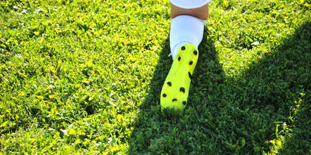 Soccer Field with green grass, sport theme image