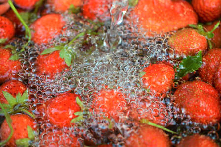 fresh harvested organic strawberries falling into waterの写真素材