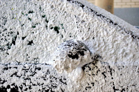 carwash with special foam shampoo.の写真素材