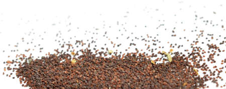 Opium Poppy seeds on white backgroundの写真素材