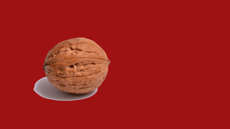 single walnut on red backgroundの写真素材
