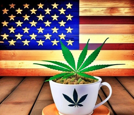Cannabis leaf in a cup on the background of the American flagの素材