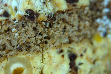 texture of layers of a nuts and chocolate cakeの写真素材