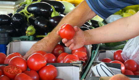 hand holding fresh tomato on a farmer market.の写真素材