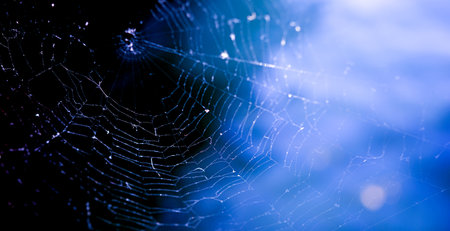 cobweb or spider web on blue background,horizontal photo.の写真素材