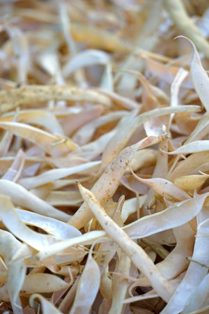 Haricot beans in the market, close-up of photo